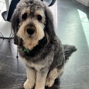 Meet your Posher, Jonny